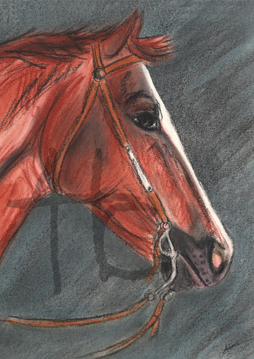 Appaloosa au pastel