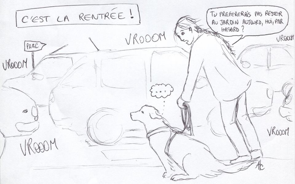 C'est la rentrée...