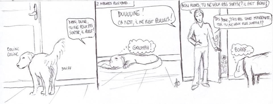 Dehors!