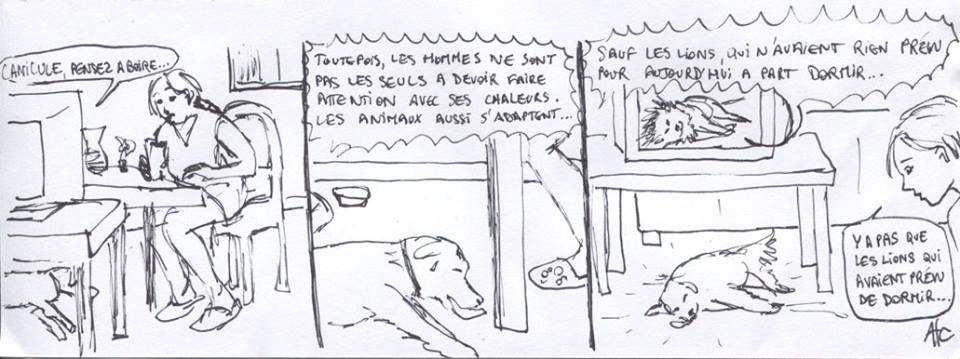 Canicule