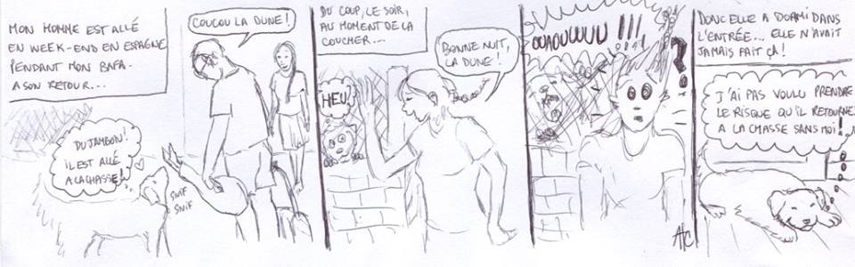 Le syndrome du chasseur