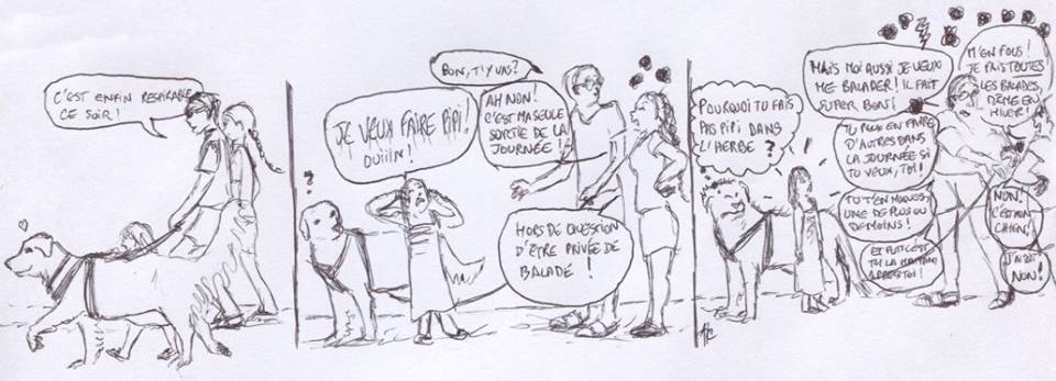 La vessie de la colère