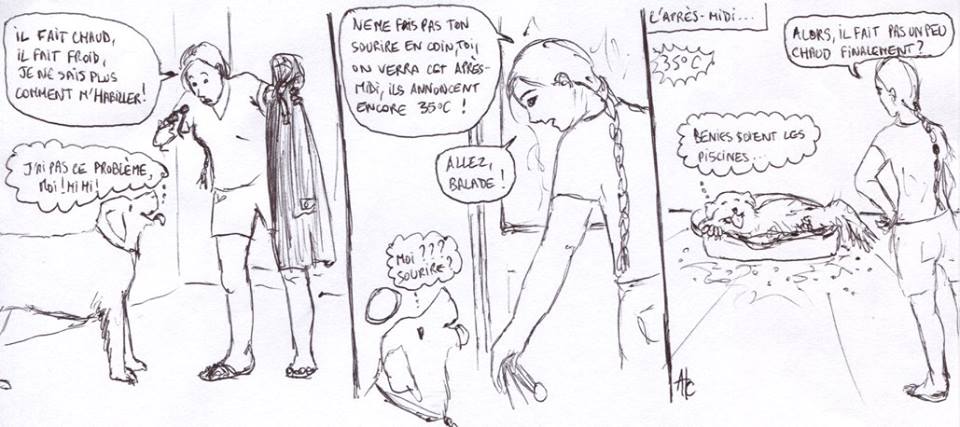 Hausse de température