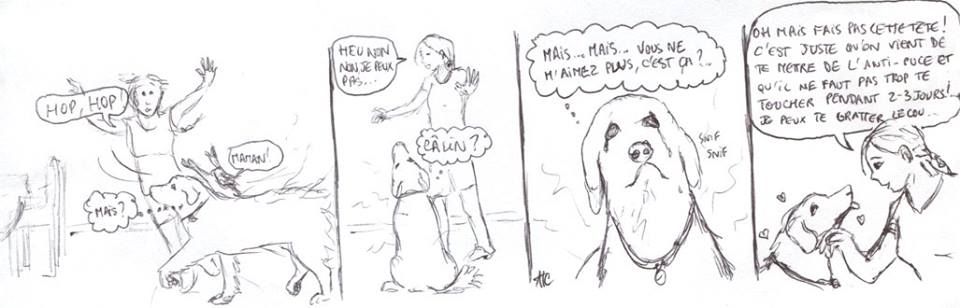Pestiférée