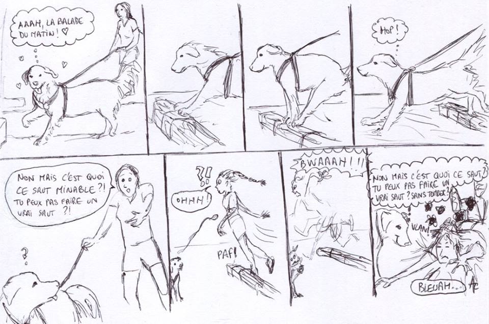 Joli saut!