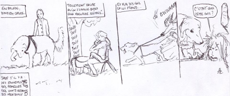 Ah, les ballades!...