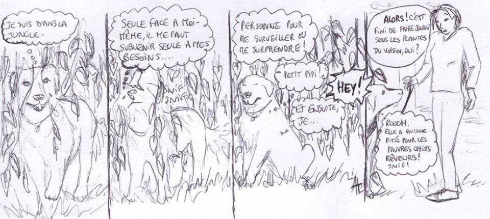 Jungle toulousaine