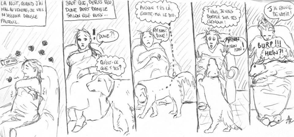 Insomnies