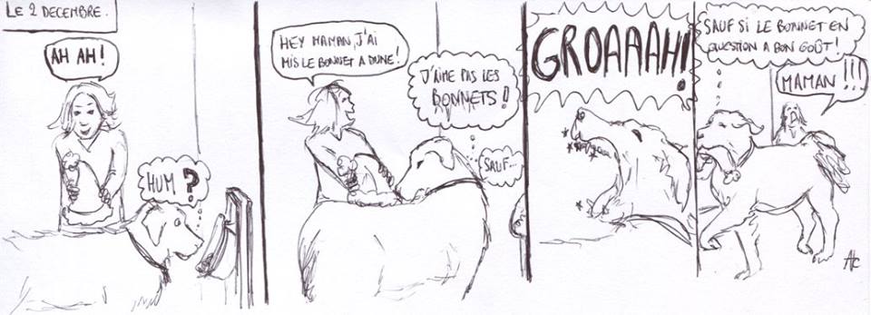 Le bonnet de Noël
