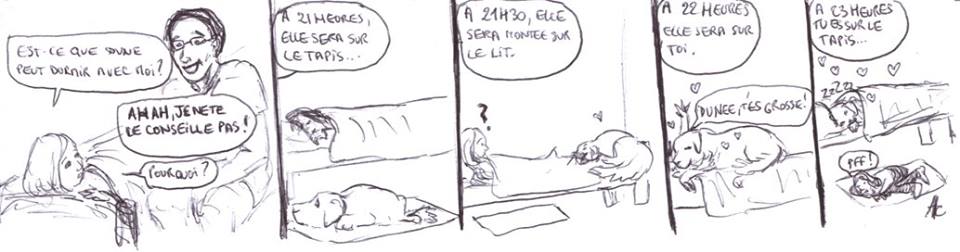Dodo Dune