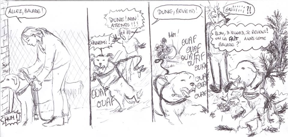 Merci Dune...