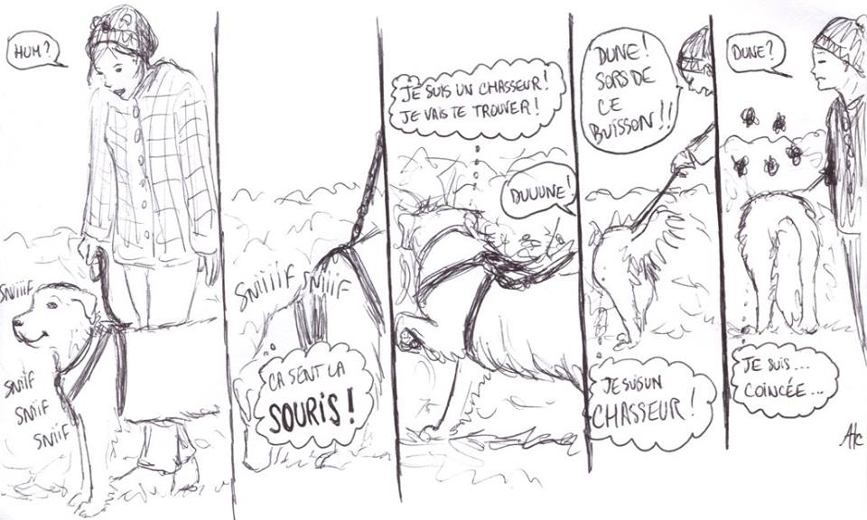Le chasseur
