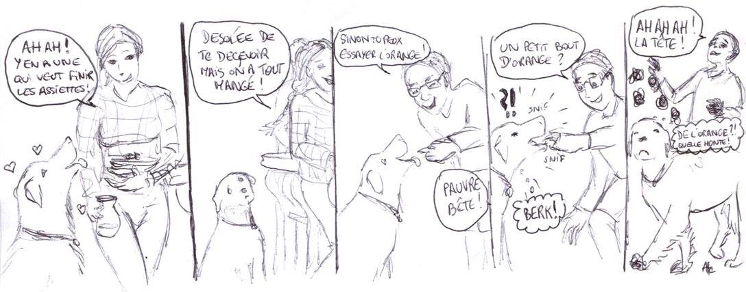 L'arnaque