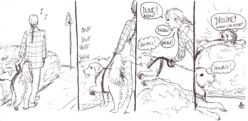 Merci Dune...