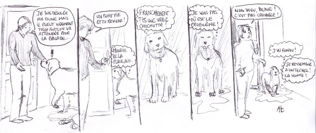 C'est la fête à la Grenouille!
