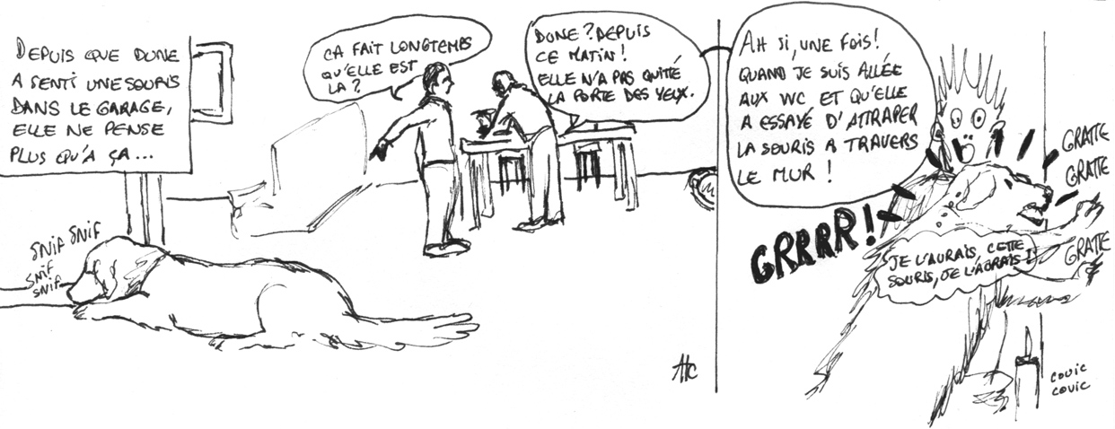 Souris dans le garage