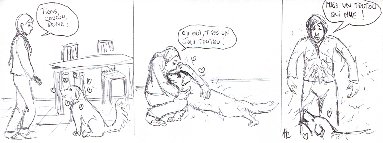 Pull aux poils