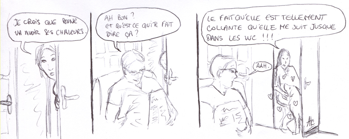 Golden en chaleur