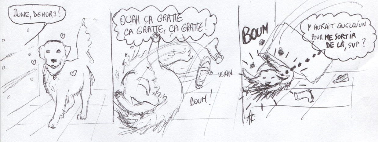 Ca gratte