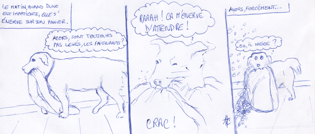 Au panier!