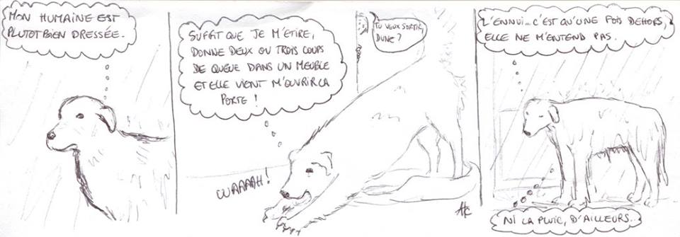 Une bonne oreille?