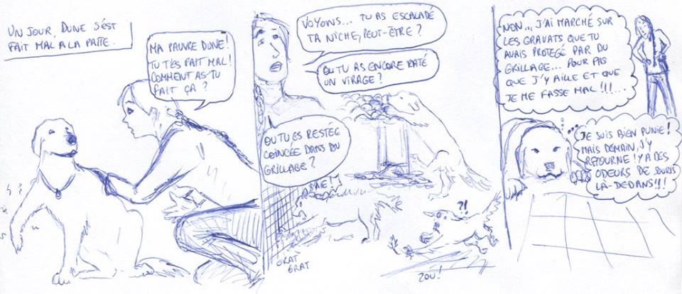 Le coup de la patte
